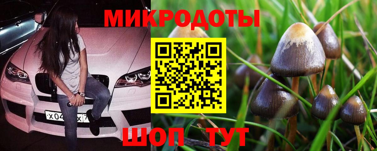 Псилоцибиновые грибы Magic Shrooms Ачинск